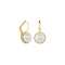 The Golden Favorites Earrings